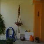 Telethrio
