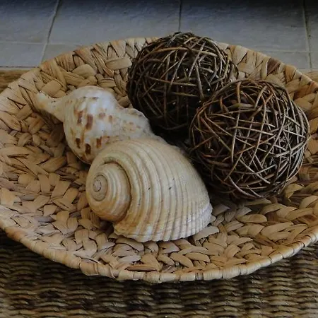 Telethrio Loutra Edipsou (Evia)